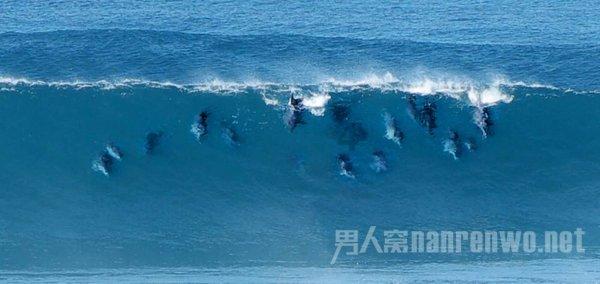 暴跌98%,昔日千亿房企宣告退市